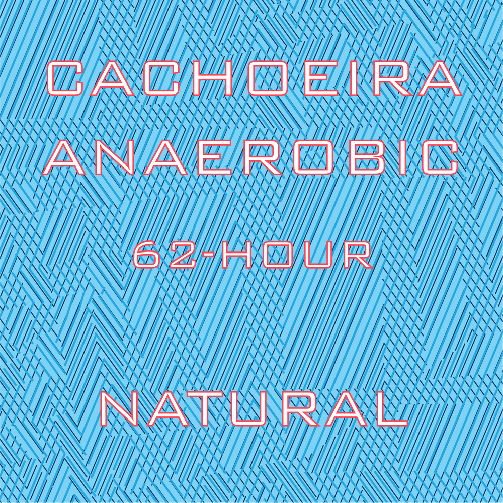 Cachoeira Anerobic Natural